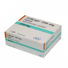 Селлсепт капс. 250мг №100